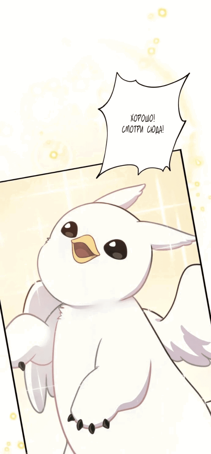 Манга Привет, пучеглазый грифон! - Глава 3 Страница 38