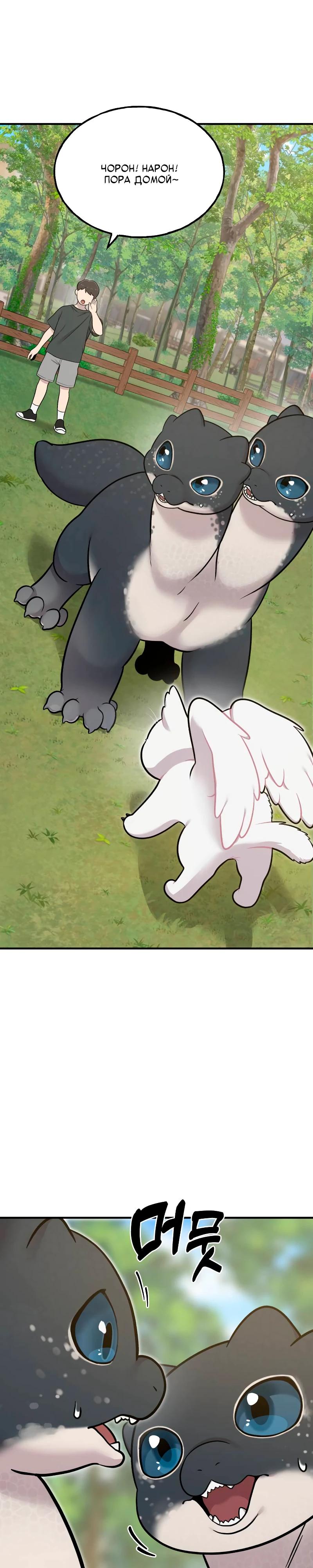 Манга Привет, пучеглазый грифон! - Глава 10 Страница 5