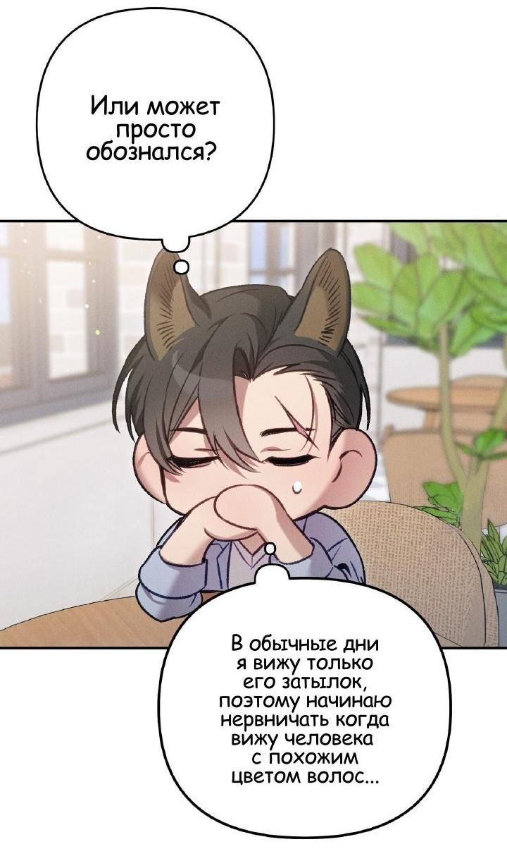 Манга Нет ничего лучше, чем защита от любви! - Глава 1 Страница 17