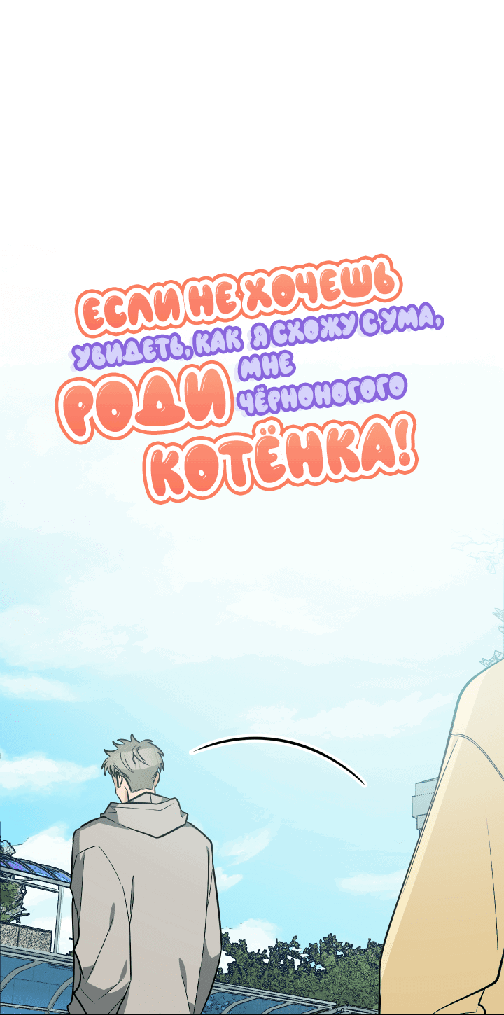 Манга Если не хочешь увидеть, как я схожу с ума, роди мне чёрноногого котёнка! - Глава 13 Страница 17