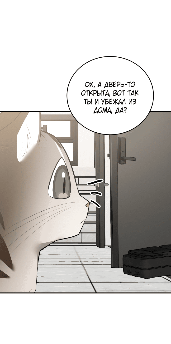 Манга Если не хочешь увидеть, как я схожу с ума, роди мне чёрноногого котёнка! - Глава 14 Страница 74