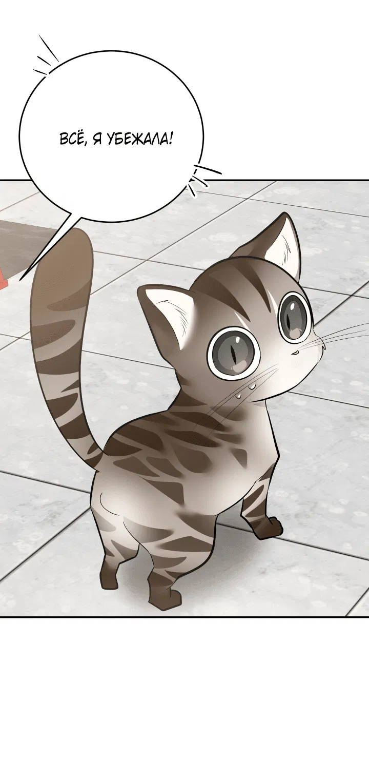 Манга Если не хочешь увидеть, как я схожу с ума, роди мне чёрноногого котёнка! - Глава 14 Страница 77
