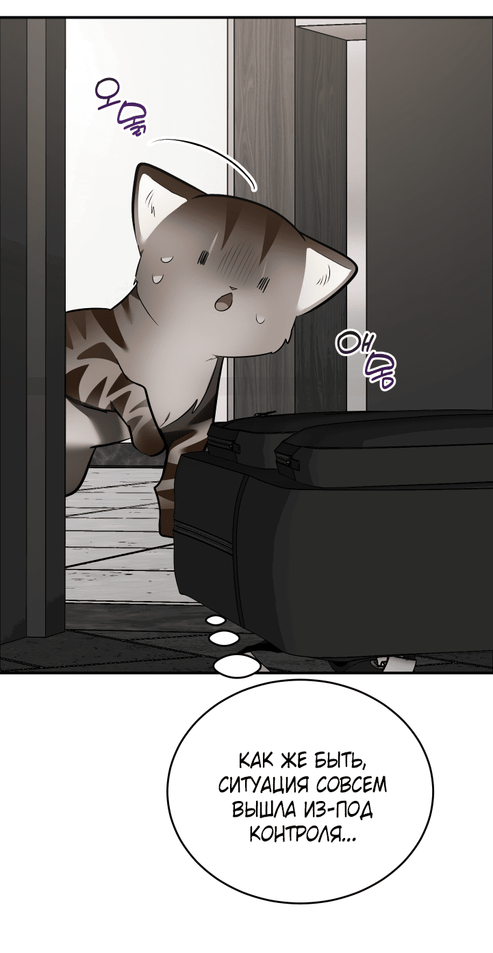Манга Если не хочешь увидеть, как я схожу с ума, роди мне чёрноногого котёнка! - Глава 14 Страница 79