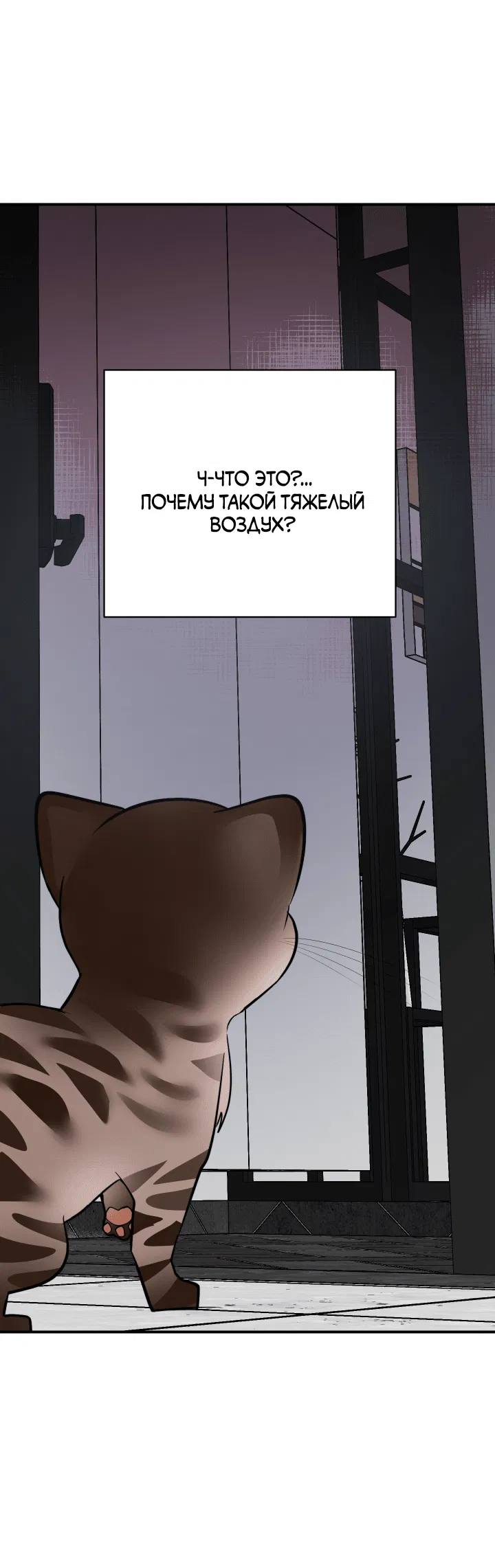 Манга Если не хочешь увидеть, как я схожу с ума, роди мне чёрноногого котёнка! - Глава 14 Страница 81