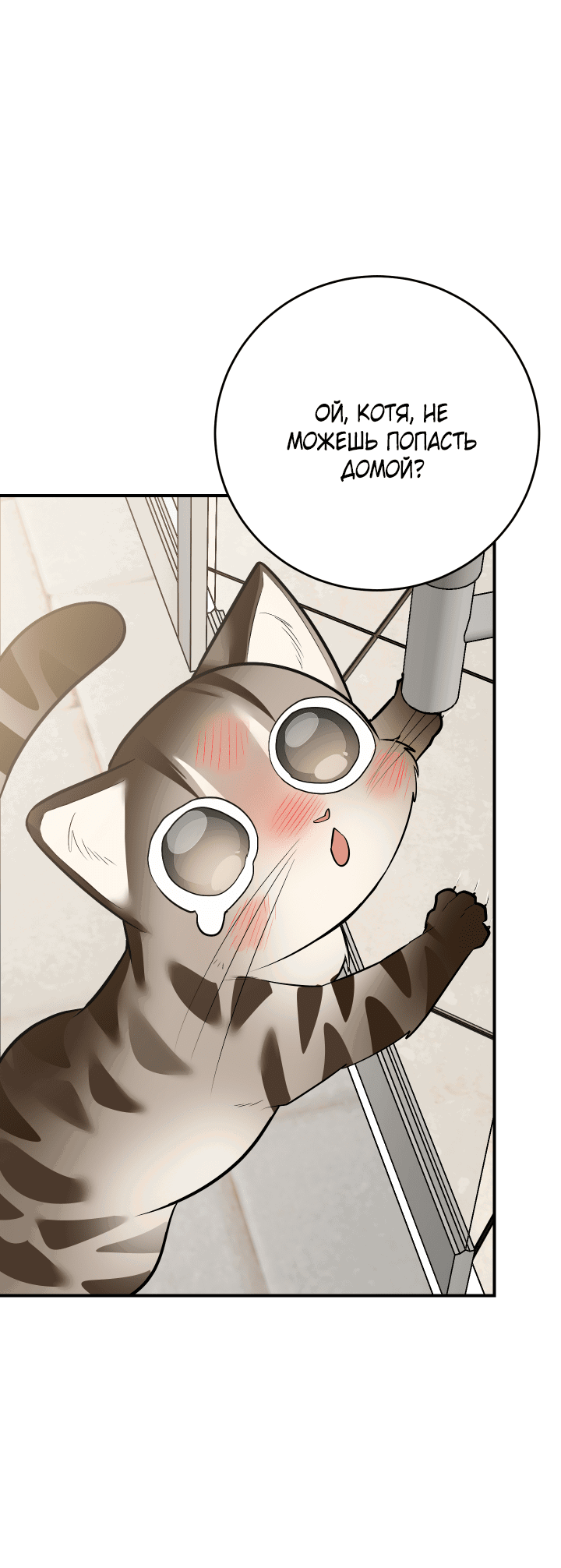 Манга Если не хочешь увидеть, как я схожу с ума, роди мне чёрноногого котёнка! - Глава 14 Страница 66