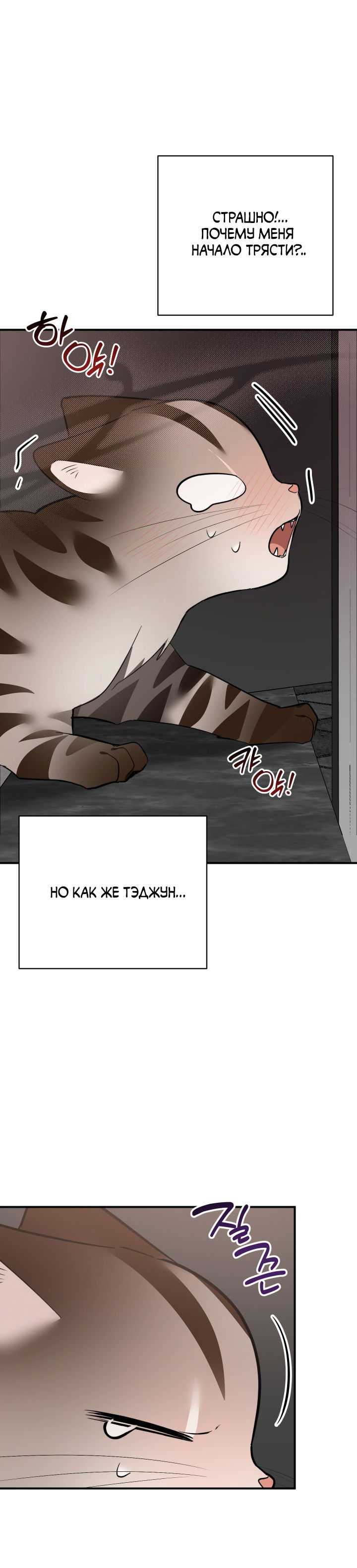 Манга Если не хочешь увидеть, как я схожу с ума, роди мне чёрноногого котёнка! - Глава 14 Страница 83