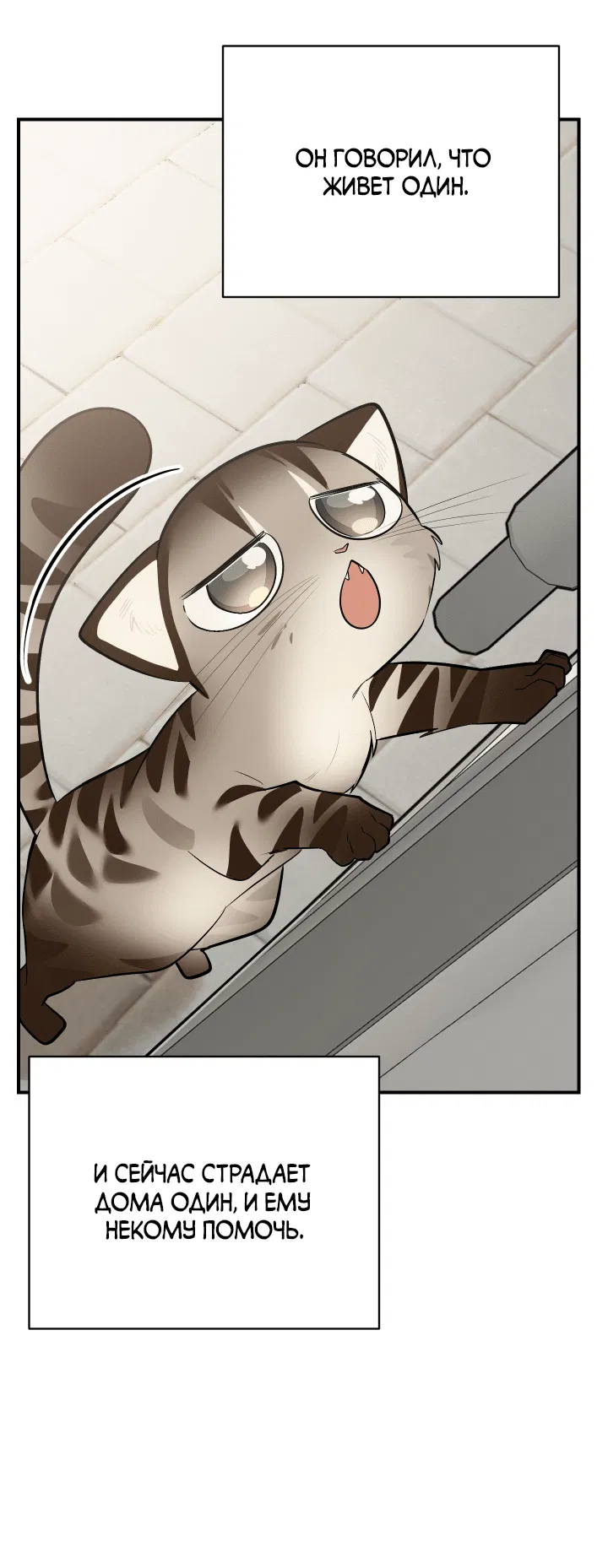 Манга Если не хочешь увидеть, как я схожу с ума, роди мне чёрноногого котёнка! - Глава 14 Страница 63