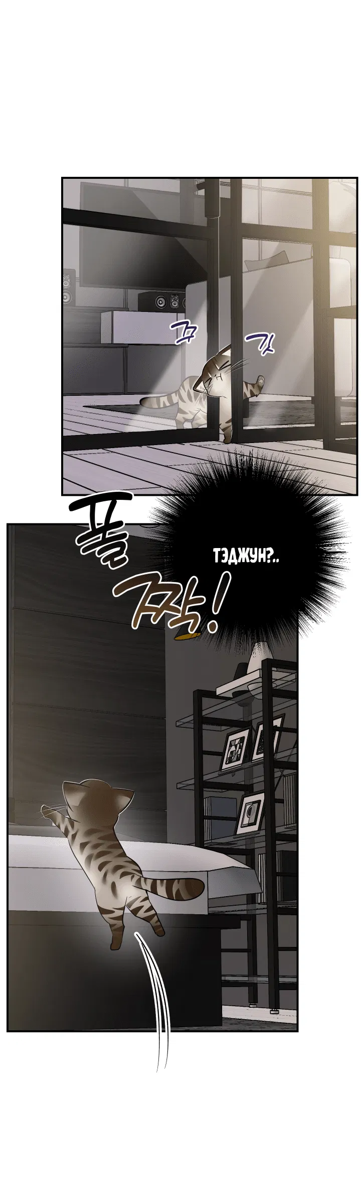 Манга Если не хочешь увидеть, как я схожу с ума, роди мне чёрноногого котёнка! - Глава 15 Страница 3
