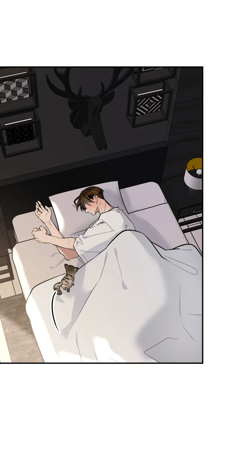 Манга Если не хочешь увидеть, как я схожу с ума, роди мне чёрноногого котёнка! - Глава 15 Страница 7