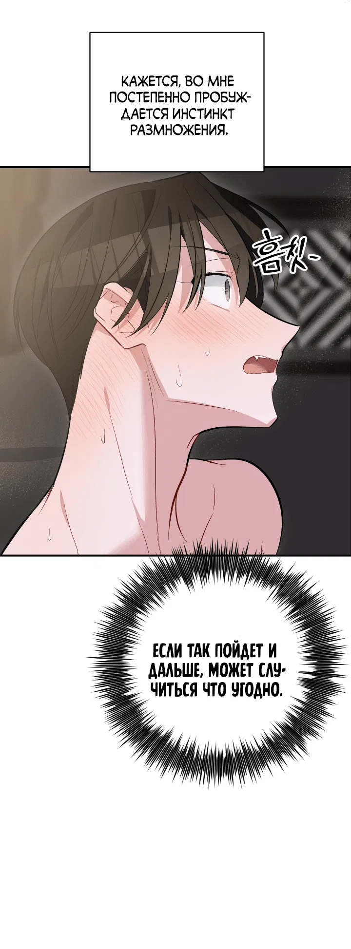 Манга Если не хочешь увидеть, как я схожу с ума, роди мне чёрноногого котёнка! - Глава 15 Страница 47