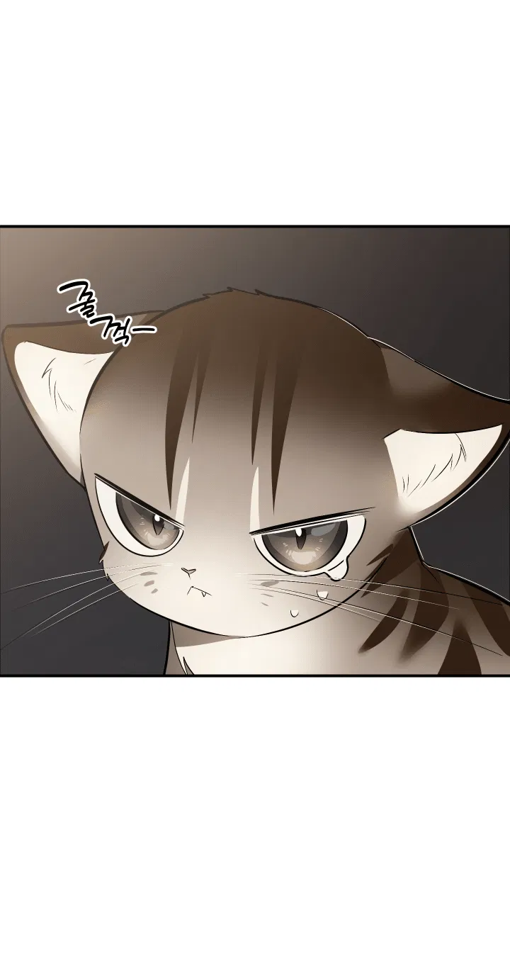 Манга Если не хочешь увидеть, как я схожу с ума, роди мне чёрноногого котёнка! - Глава 15 Страница 2