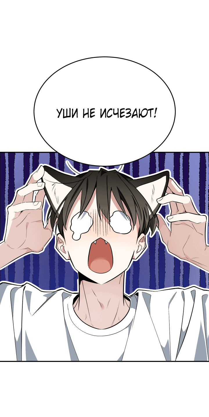 Манга Если не хочешь увидеть, как я схожу с ума, роди мне чёрноногого котёнка! - Глава 17 Страница 44