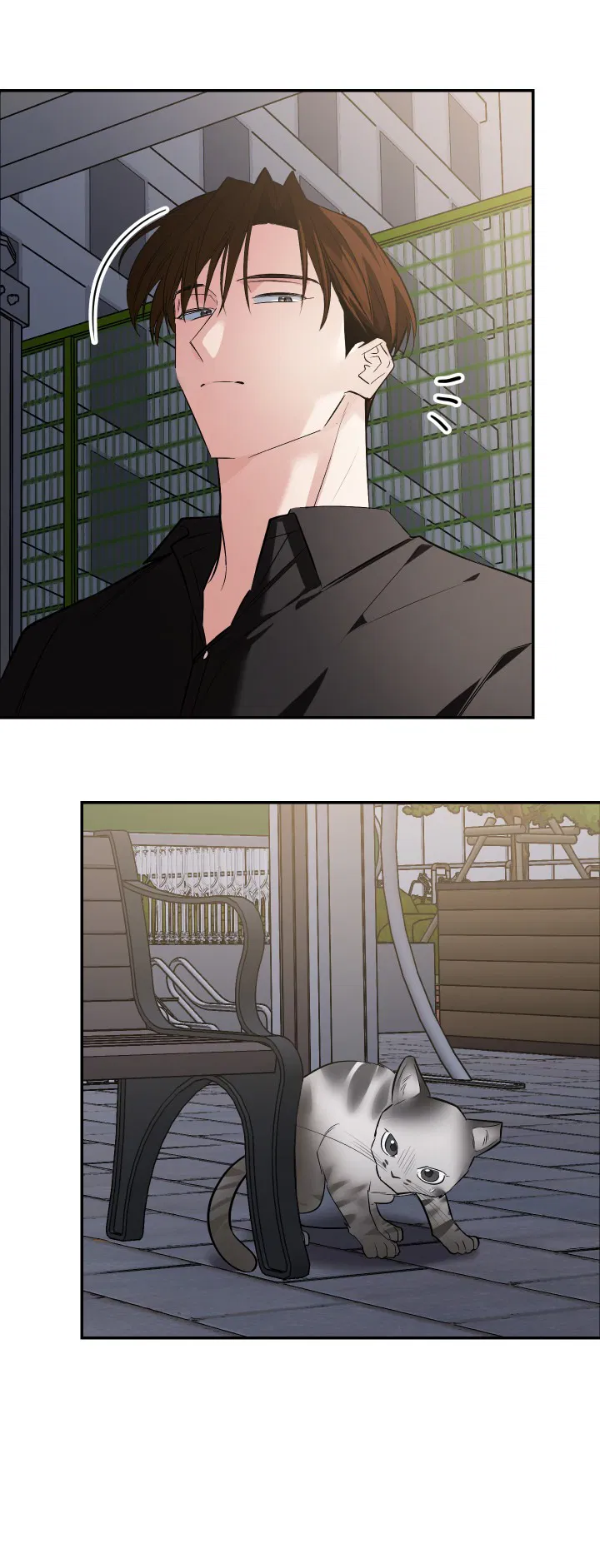 Манга Если не хочешь увидеть, как я схожу с ума, роди мне чёрноногого котёнка! - Глава 19 Страница 54
