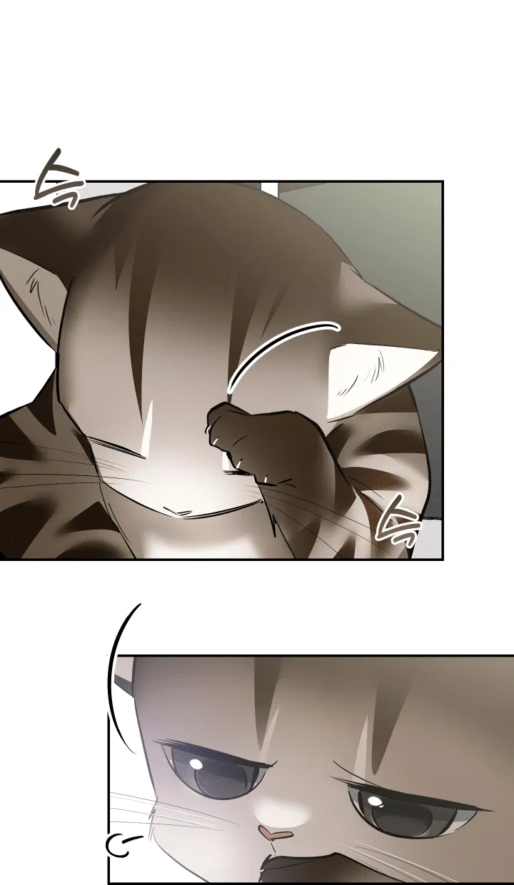 Манга Если не хочешь увидеть, как я схожу с ума, роди мне чёрноногого котёнка! - Глава 19 Страница 35