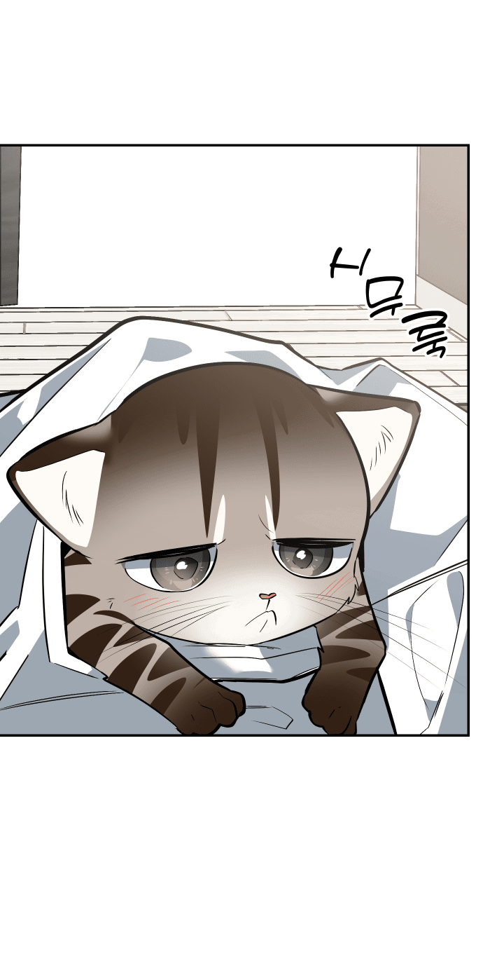 Манга Если не хочешь увидеть, как я схожу с ума, роди мне чёрноногого котёнка! - Глава 19 Страница 33