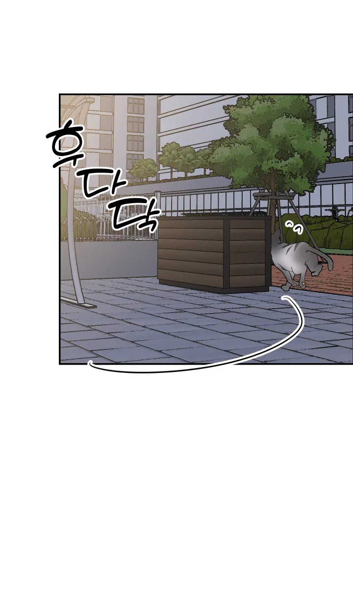 Манга Если не хочешь увидеть, как я схожу с ума, роди мне чёрноногого котёнка! - Глава 19 Страница 56