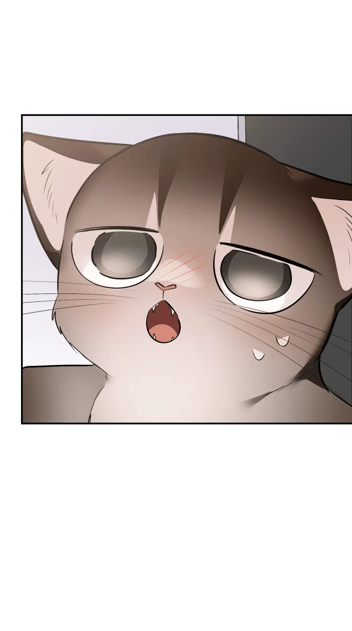 Манга Если не хочешь увидеть, как я схожу с ума, роди мне чёрноногого котёнка! - Глава 19 Страница 67