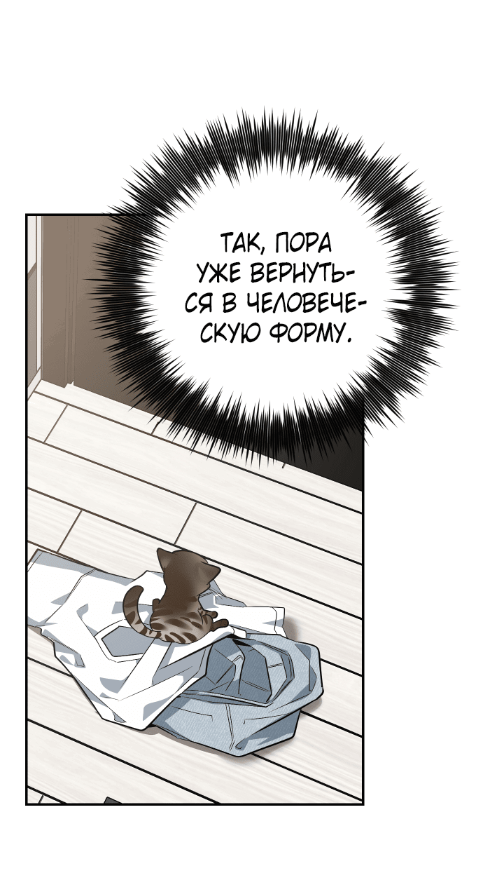 Манга Если не хочешь увидеть, как я схожу с ума, роди мне чёрноногого котёнка! - Глава 19 Страница 38