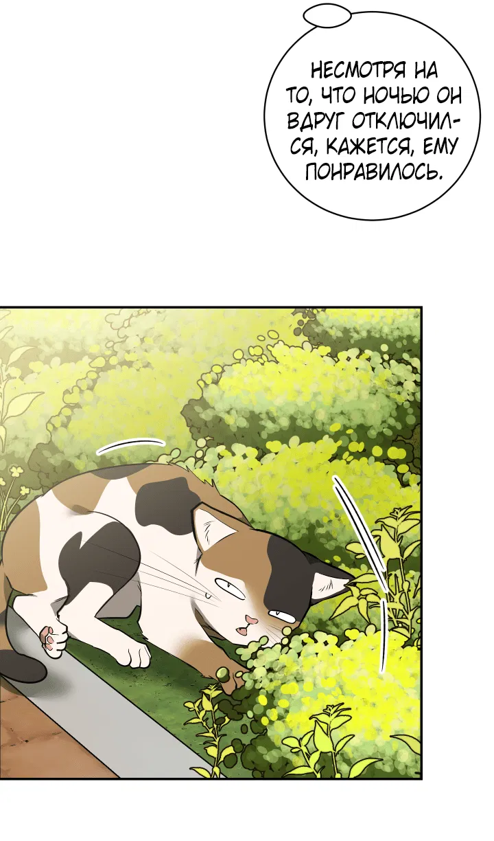 Манга Если не хочешь увидеть, как я схожу с ума, роди мне чёрноногого котёнка! - Глава 20 Страница 47