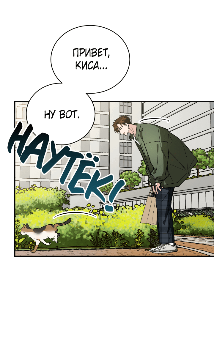 Манга Если не хочешь увидеть, как я схожу с ума, роди мне чёрноногого котёнка! - Глава 20 Страница 48