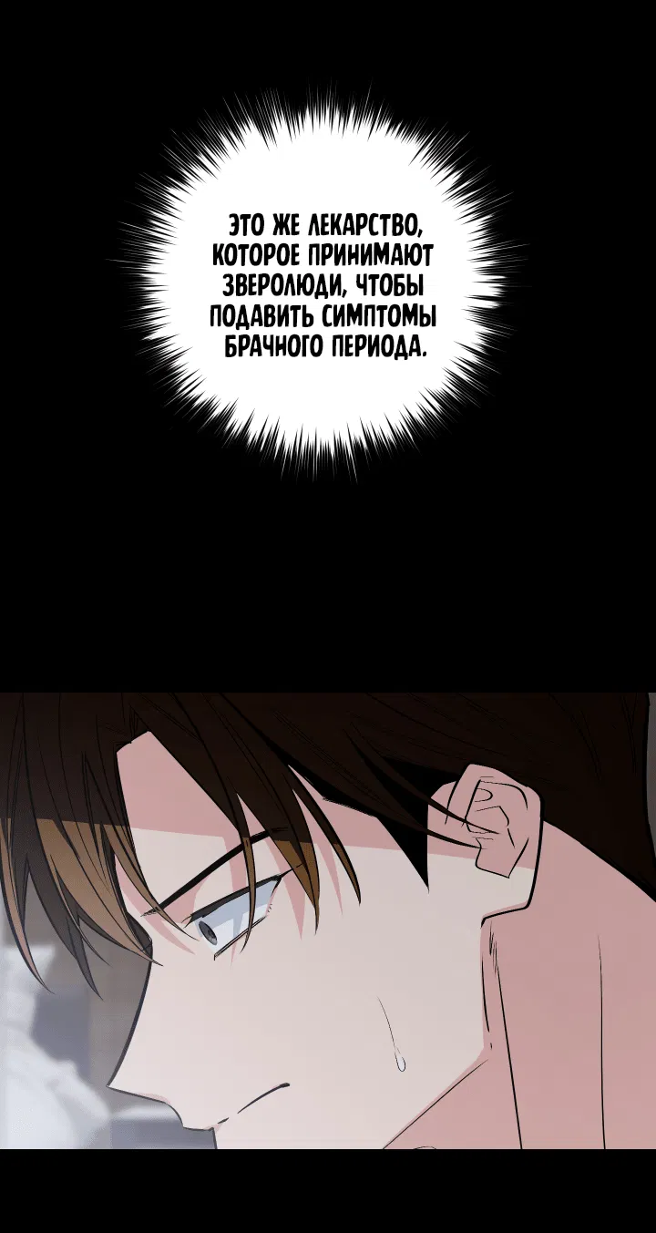 Манга Если не хочешь увидеть, как я схожу с ума, роди мне чёрноногого котёнка! - Глава 23 Страница 50