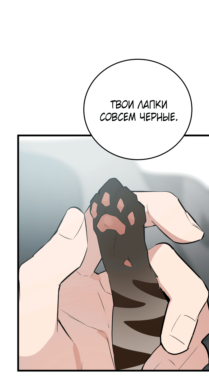 Манга Если не хочешь увидеть, как я схожу с ума, роди мне чёрноногого котёнка! - Глава 8 Страница 65