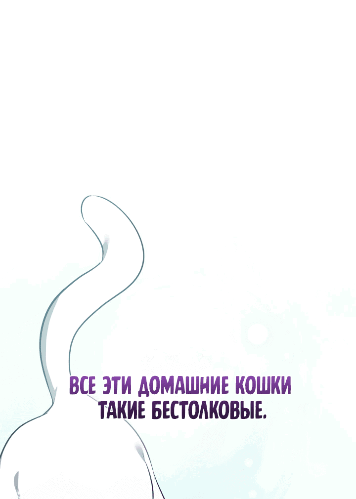 Манга Если не хочешь увидеть, как я схожу с ума, роди мне чёрноногого котёнка! - Глава 6 Страница 16