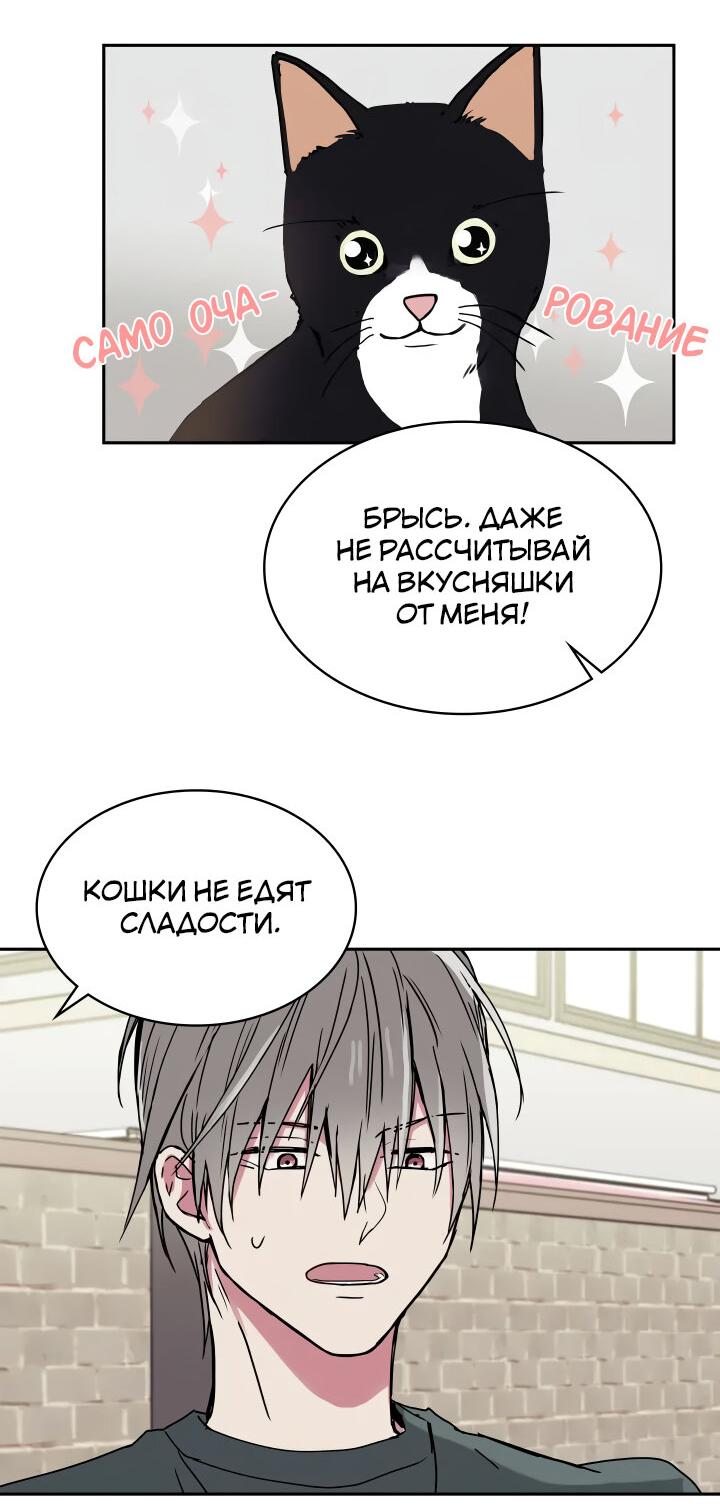 Манга Удачный кредит - Глава 17 Страница 34
