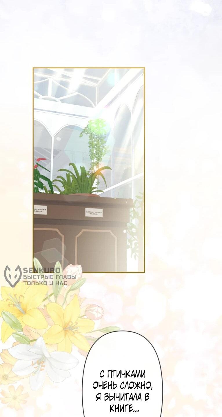 Манга Ради будущего моего мужа я подписала развод - Глава 65 Страница 31