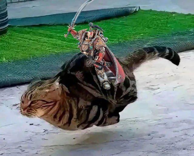 Манга Фанхаммер 40k - Глава 665 Страница 1