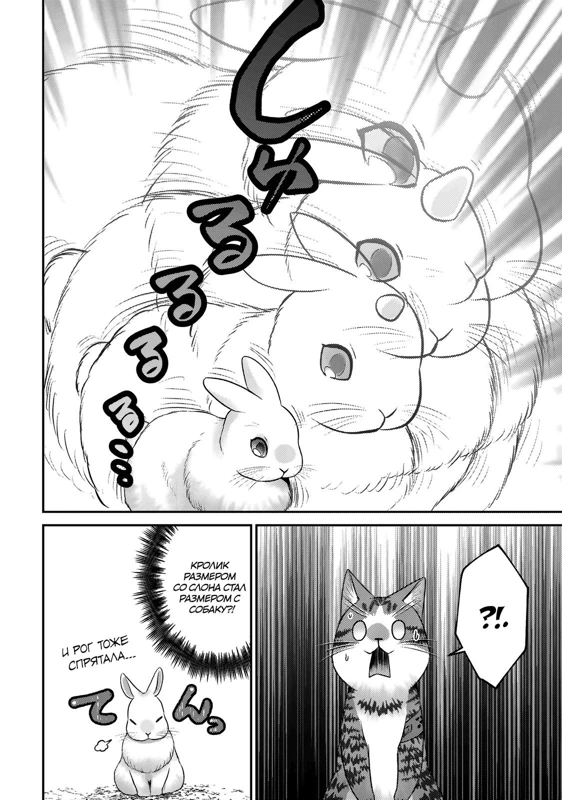 Манга Я переродился котом-волшебником - Глава 26.1 Страница 12