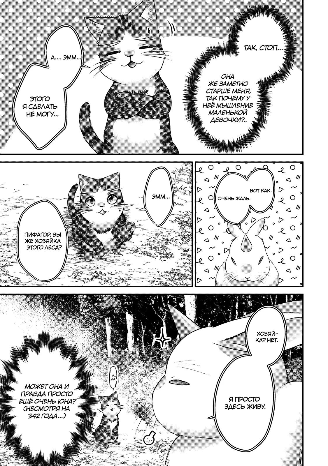 Манга Я переродился котом-волшебником - Глава 26.1 Страница 9
