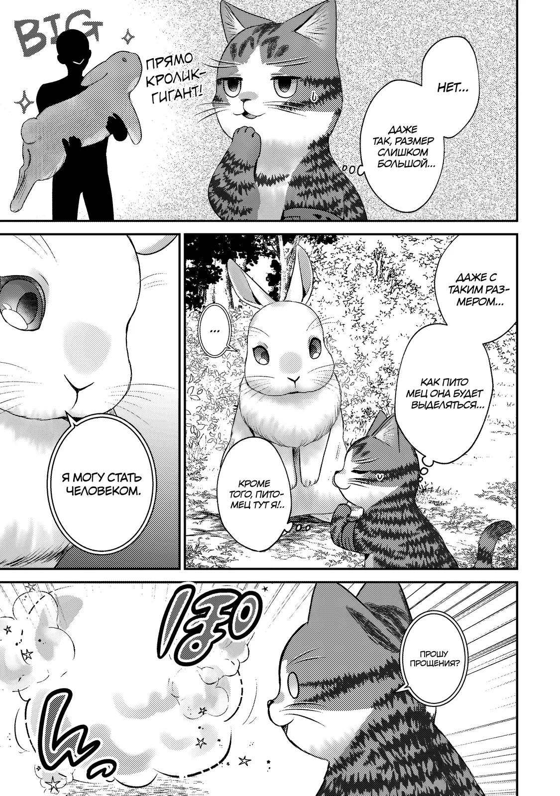 Манга Я переродился котом-волшебником - Глава 26.1 Страница 13