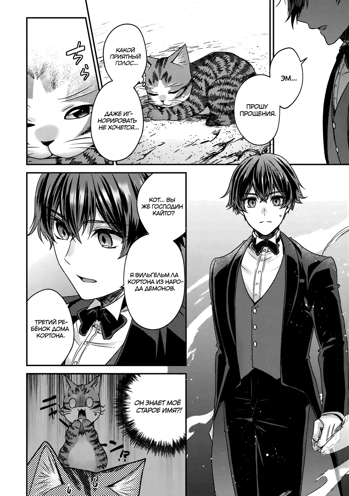 Манга Я переродился котом-волшебником - Глава 18.1 Страница 12