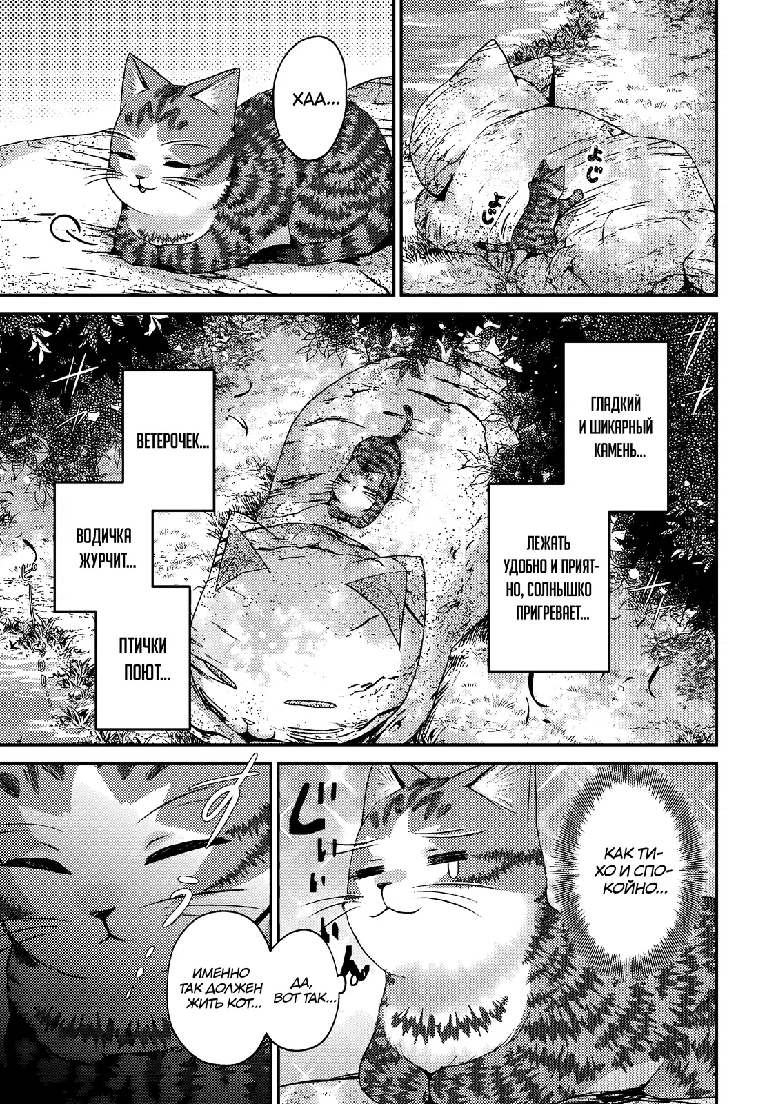 Манга Я переродился котом-волшебником - Глава 16.2 Страница 9