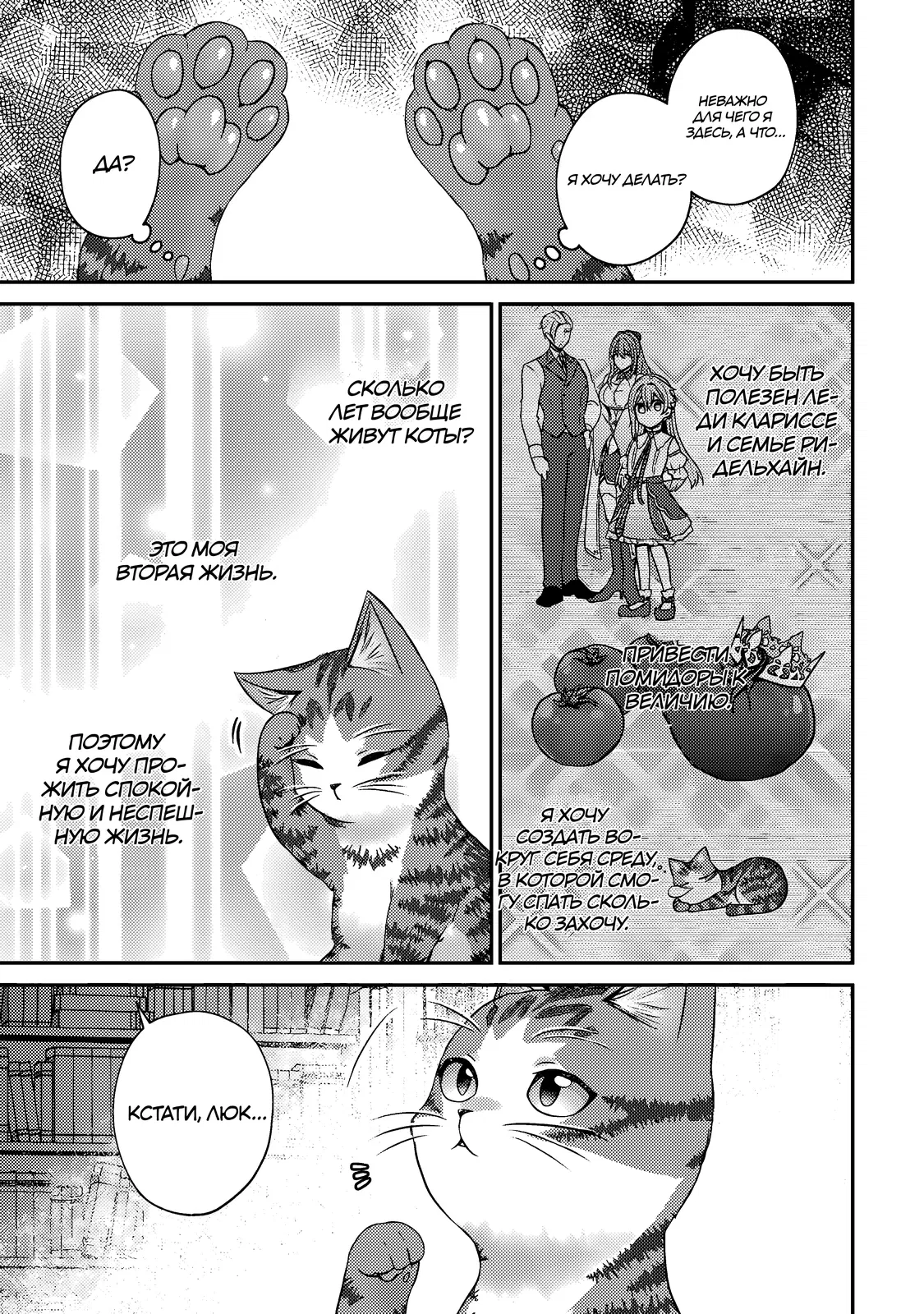 Манга Я переродился котом-волшебником - Глава 11.1 Страница 5
