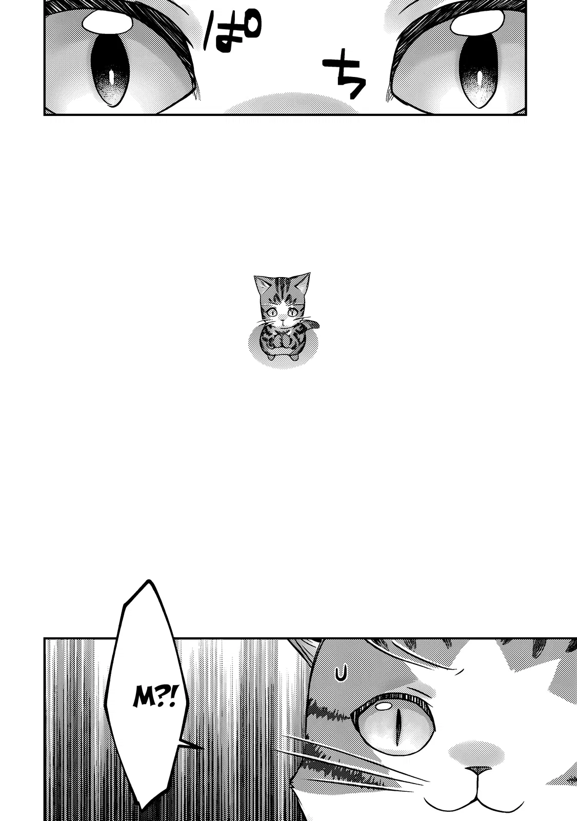 Манга Я переродился котом-волшебником - Глава 9.2 Страница 12