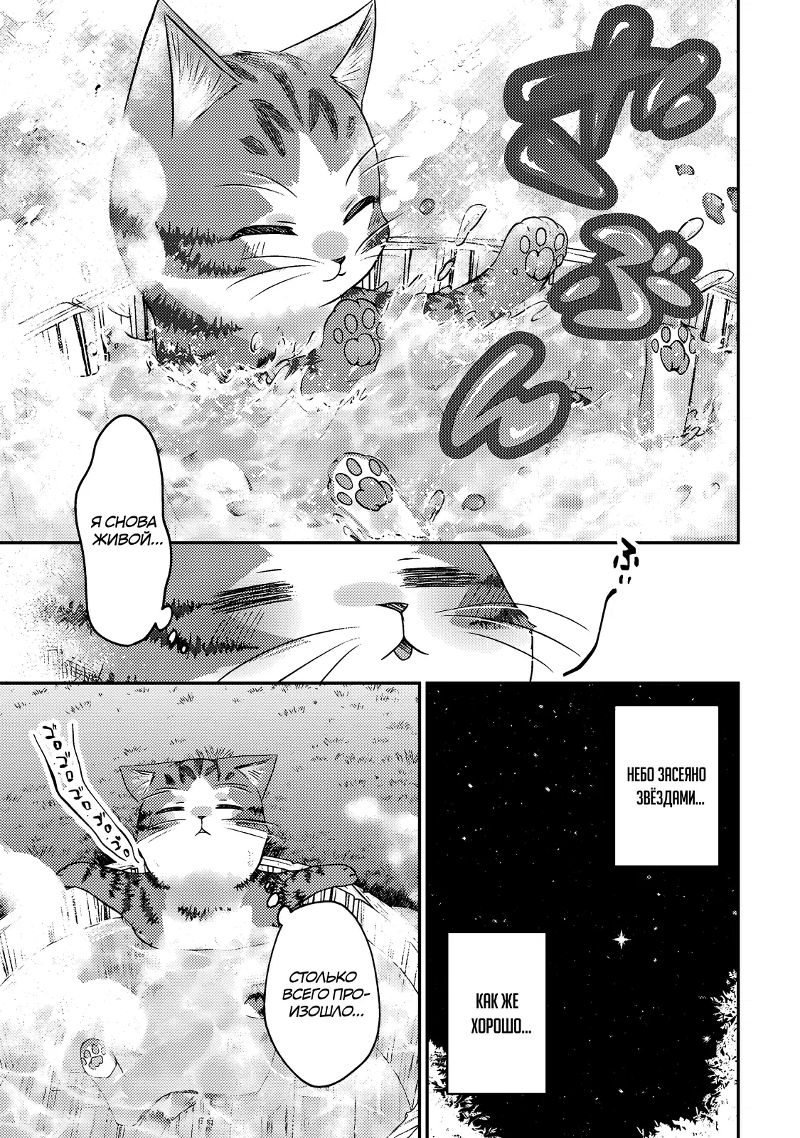 Манга Я переродился котом-волшебником - Глава 8.2 Страница 5