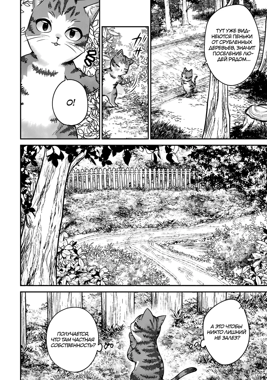 Манга Я переродился котом-волшебником - Глава 2.1 Страница 6