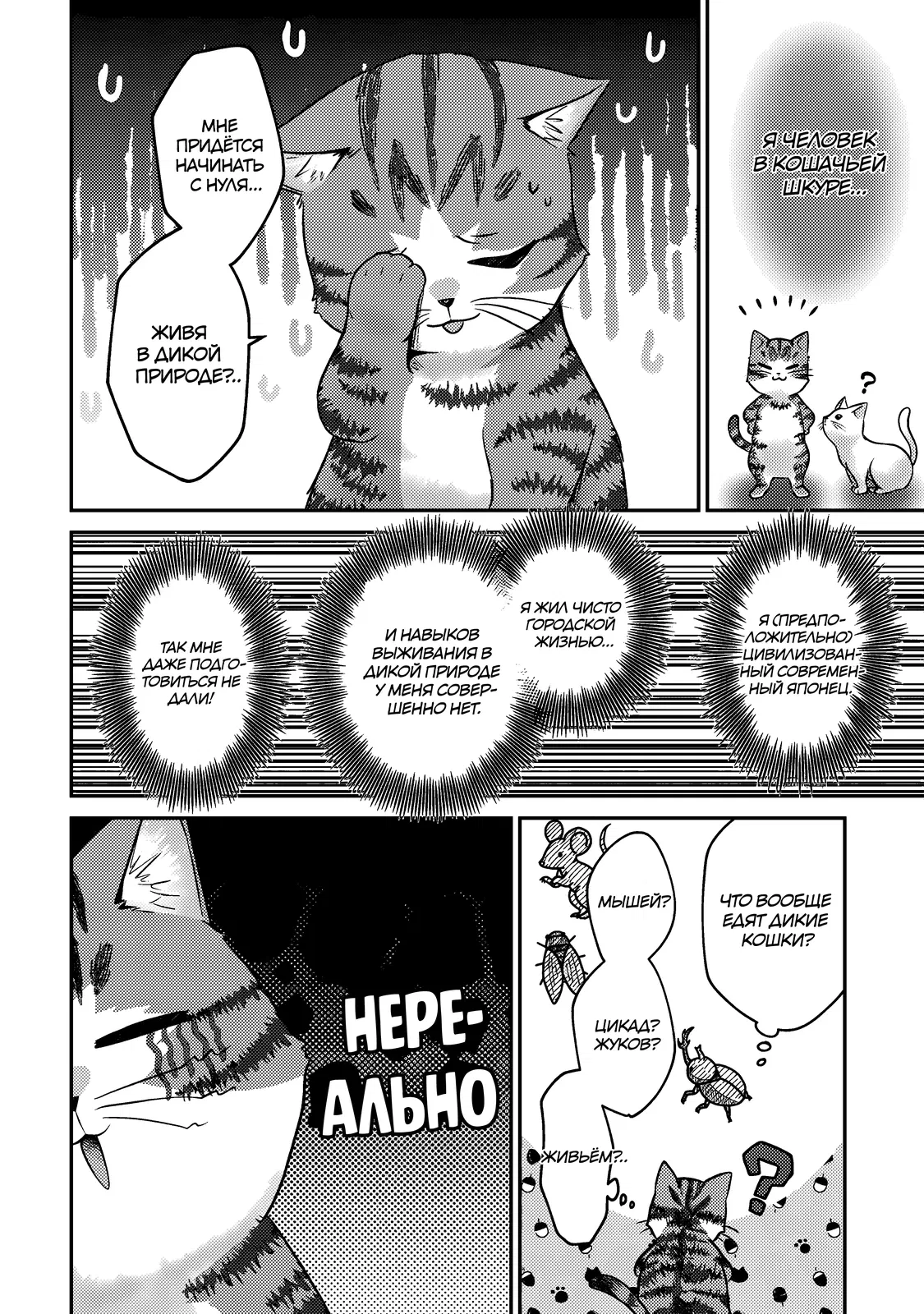 Манга Я переродился котом-волшебником - Глава 1.1 Страница 13