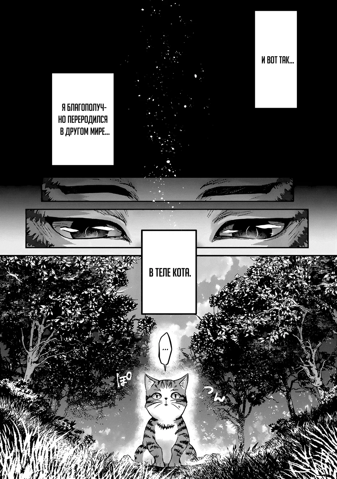 Манга Я переродился котом-волшебником - Глава 1.1 Страница 11