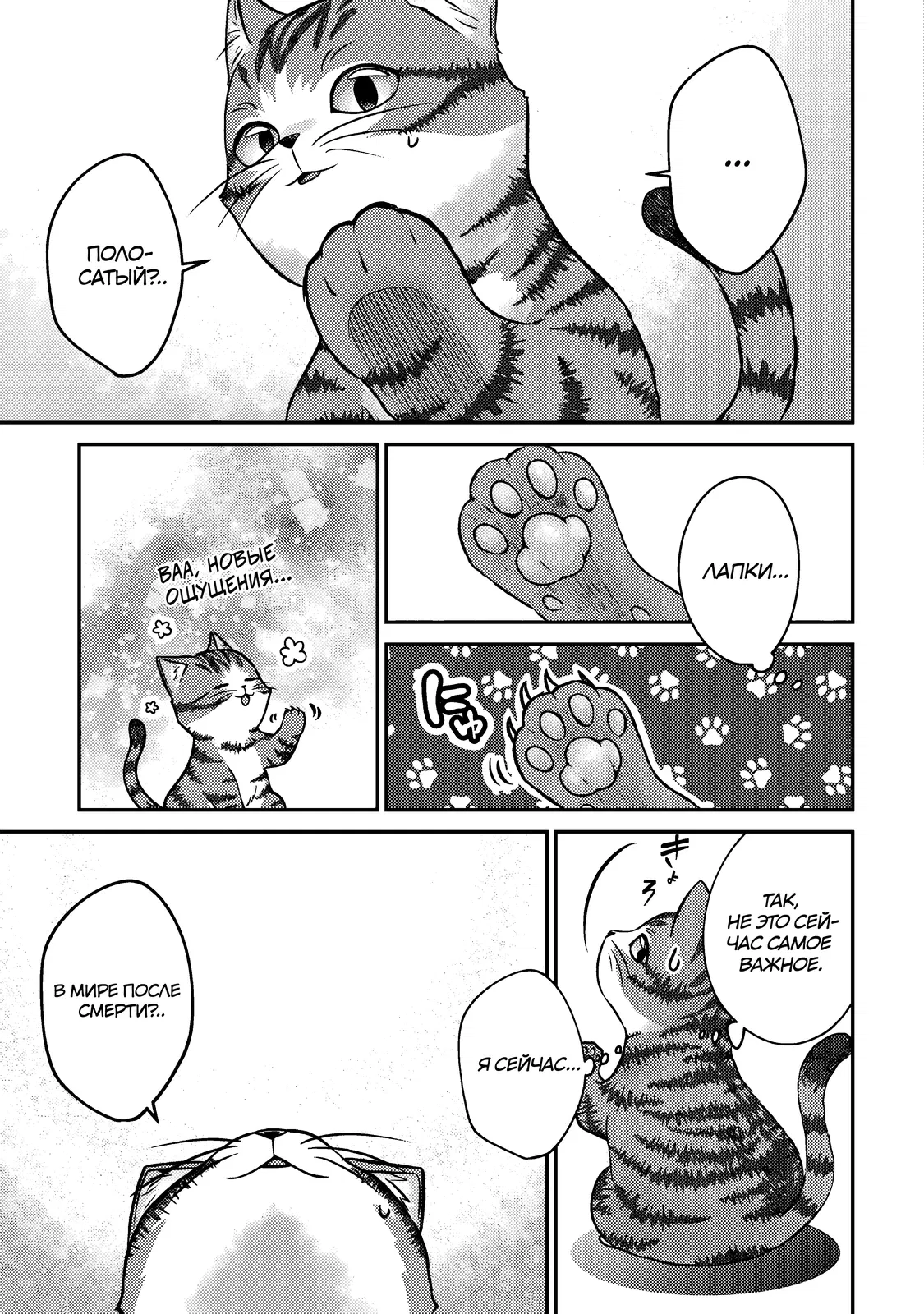 Манга Я переродился котом-волшебником - Глава 1.1 Страница 4