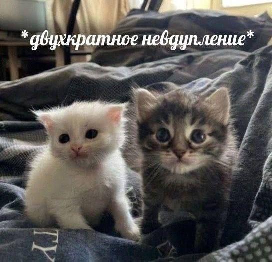 Манга Девочка-лиса Катабами-сан - Глава 8 Страница 12