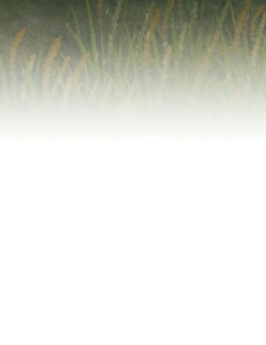 Манга Букет из шпината - Глава 28 Страница 30