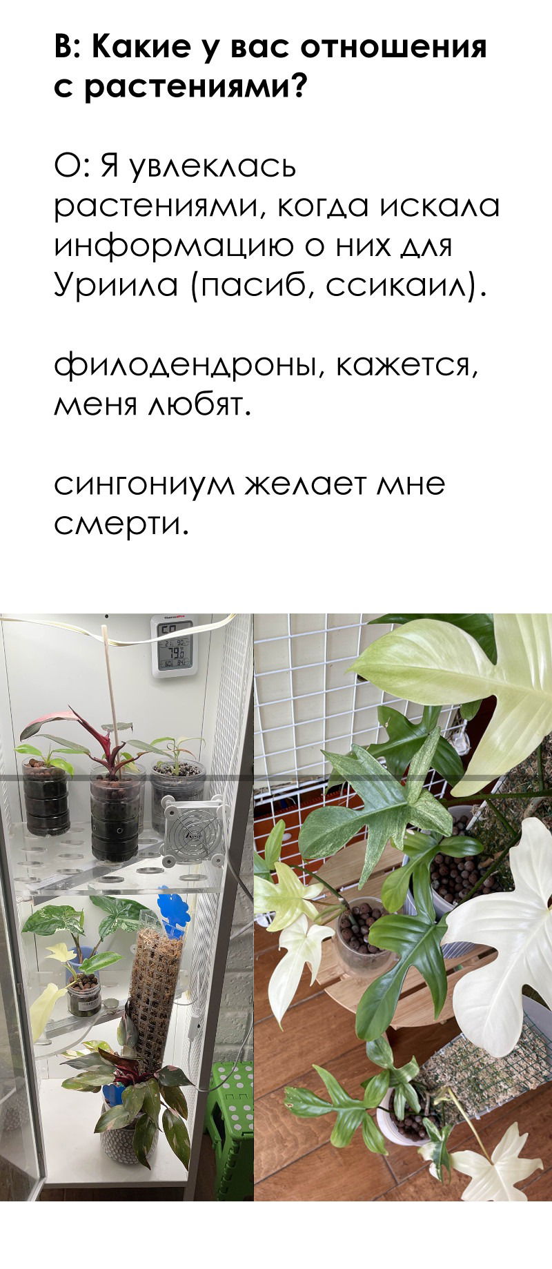 Манга Цвети и щелкай - Глава 106.5 Страница 11