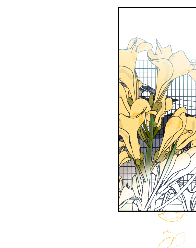 Манга Цвети и щелкай - Глава 106 Страница 37