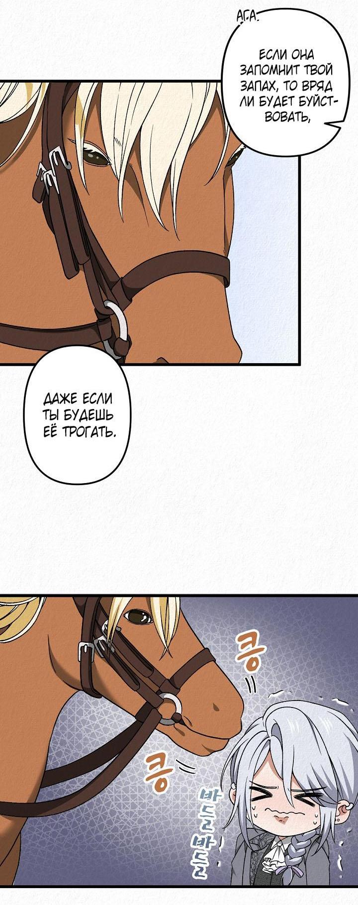 Манга Изящная жизнь переродившегося аристократа - Глава 48 Страница 16