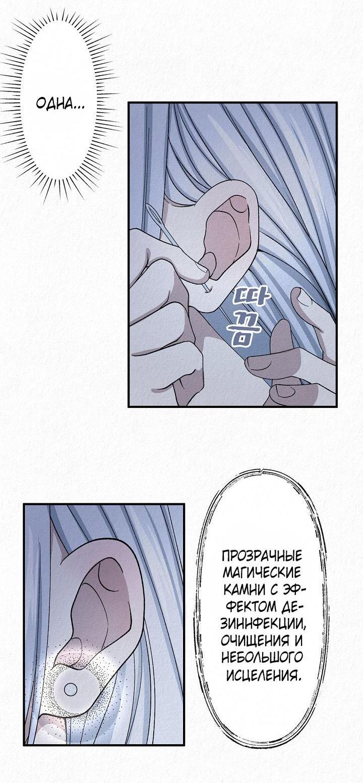 Манга Изящная жизнь переродившегося аристократа - Глава 12 Страница 11