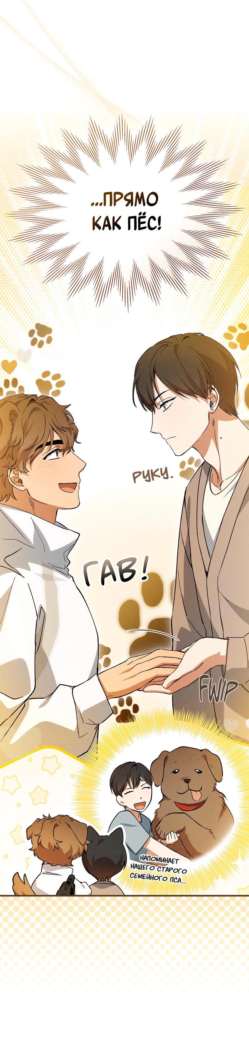 Манга Ложь овцы - Глава 6 Страница 16