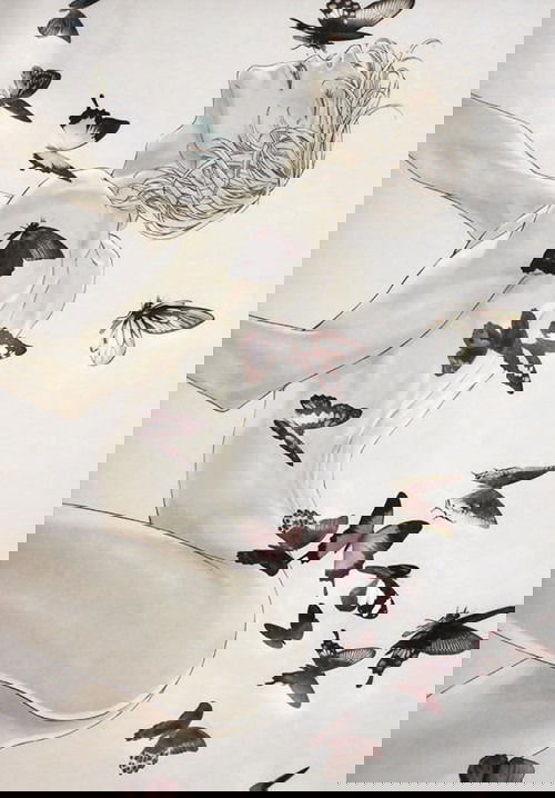 Манга Иллюстрации Зарии Ранмару - Глава 5 Страница 2